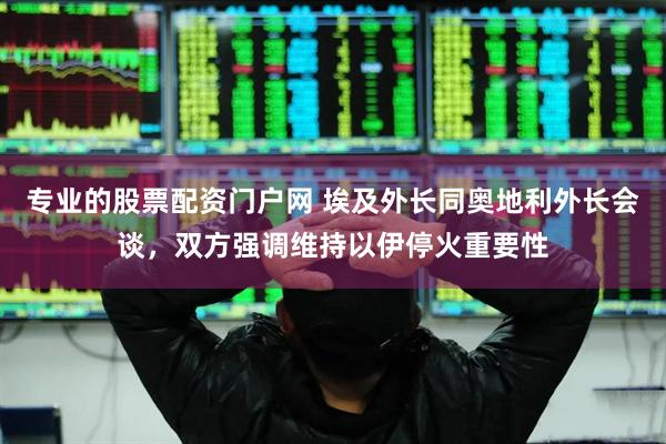 专业的股票配资门户网 埃及外长同奥地利外长会谈，双方强调维持以伊停火重要性