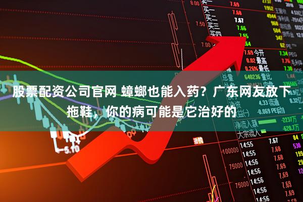 股票配资公司官网 蟑螂也能入药？广东网友放下拖鞋，你的病可能是它治好的